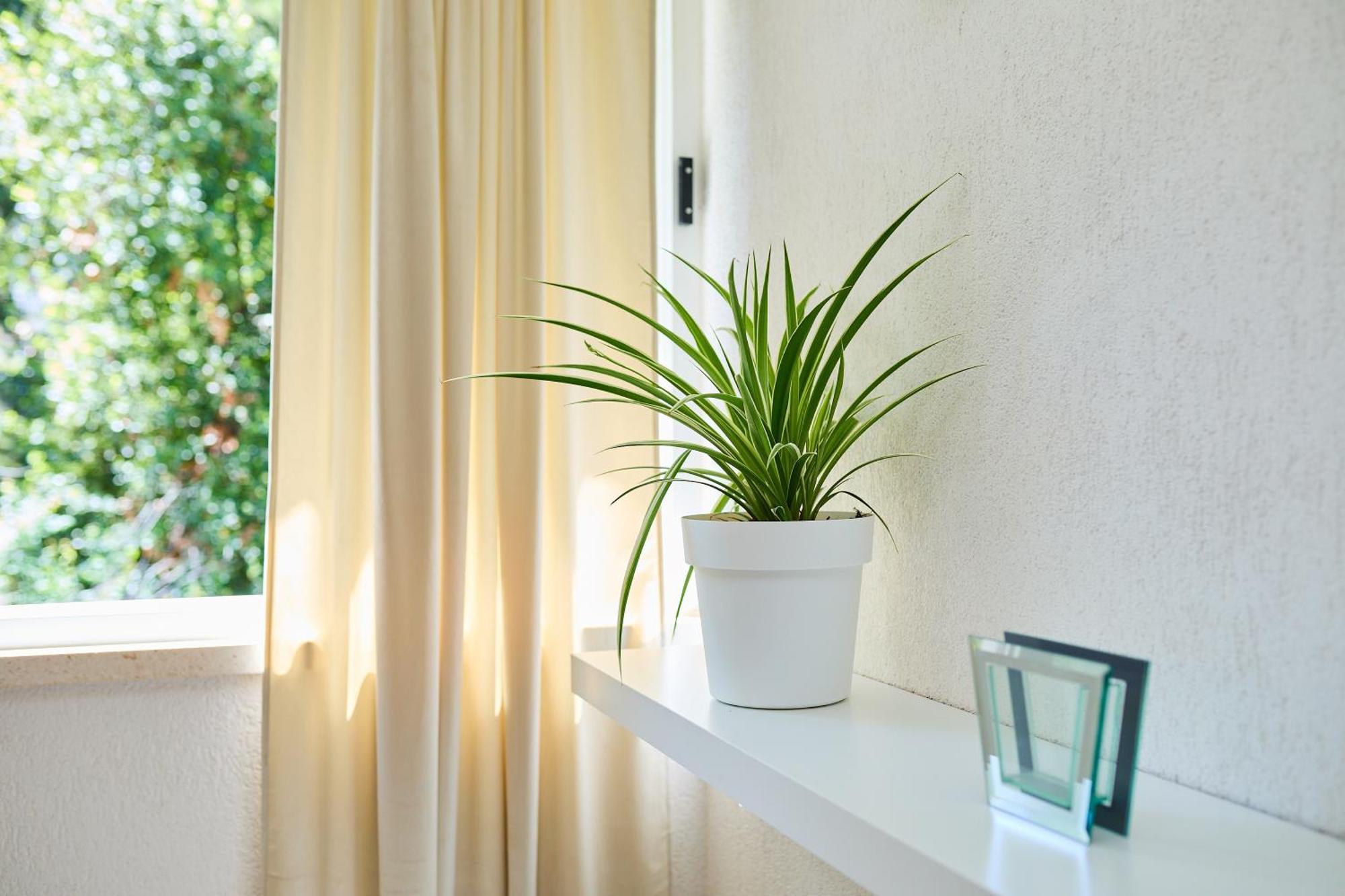 Apartment Promenada- 4Pax With Parking Dubrovnik Dış mekan fotoğraf